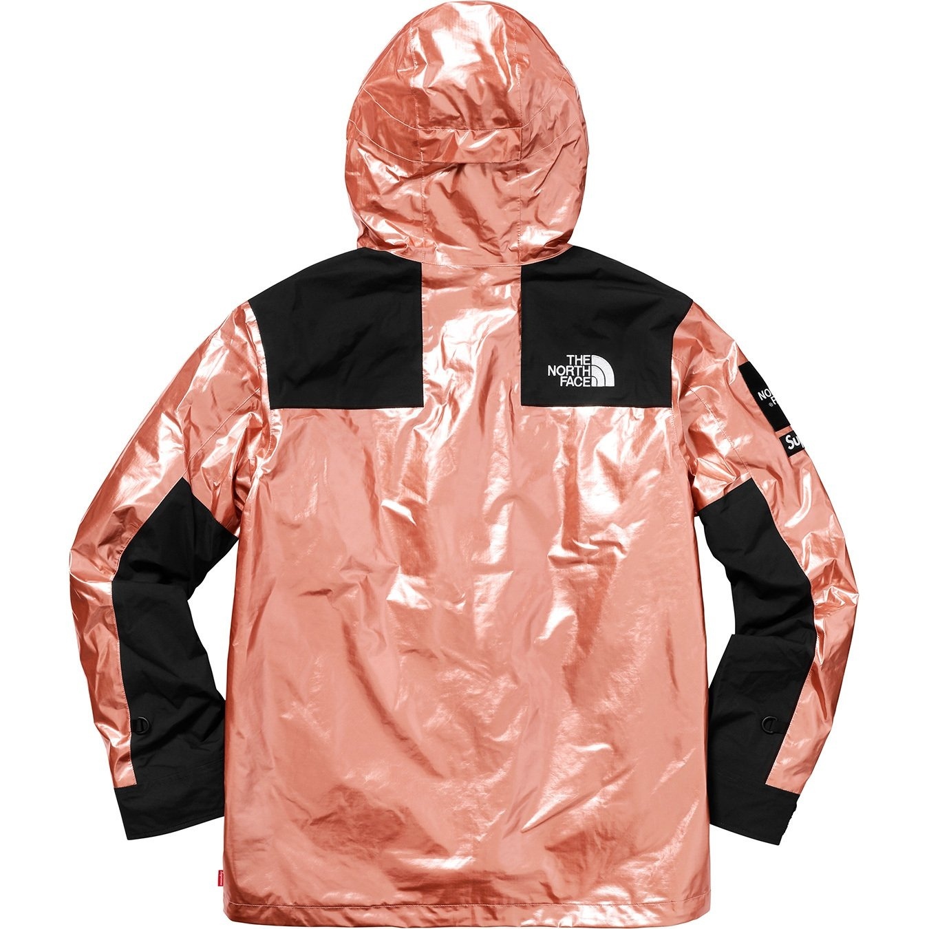Supreme®/The North Face® Metallic Mountain Parka view 8